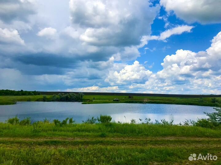 Рыбалка и отдых. Пруд Радищевский