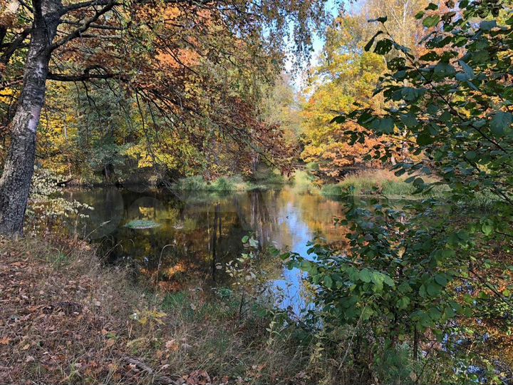 Участок 6,7 га (ИЖС)