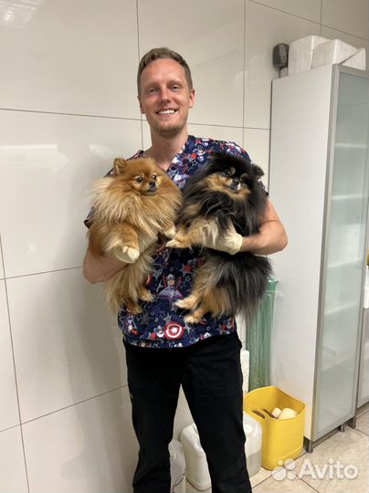 Ветеринар на дом