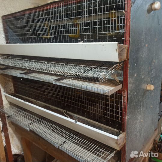 Клетки для перепелов