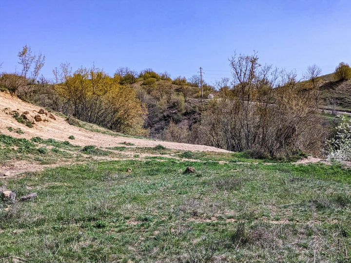 Участок 6 сот. (ИЖС)