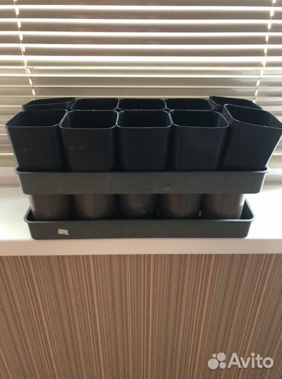 Стаканы для рассады