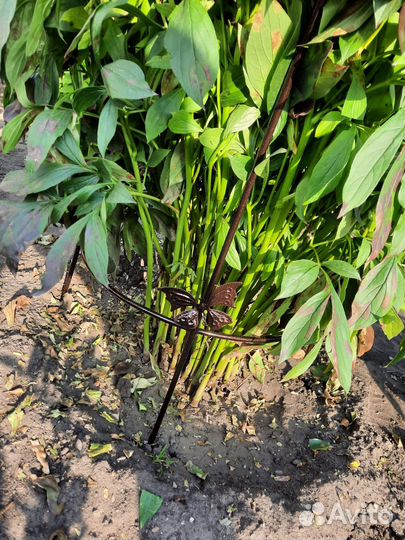 Опора для пиона/кустарника