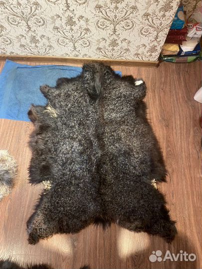 Шкура овчина