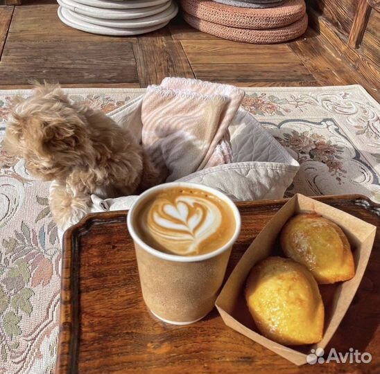 Mальтипу микро f1 N1 Russia Federation ммм coffee