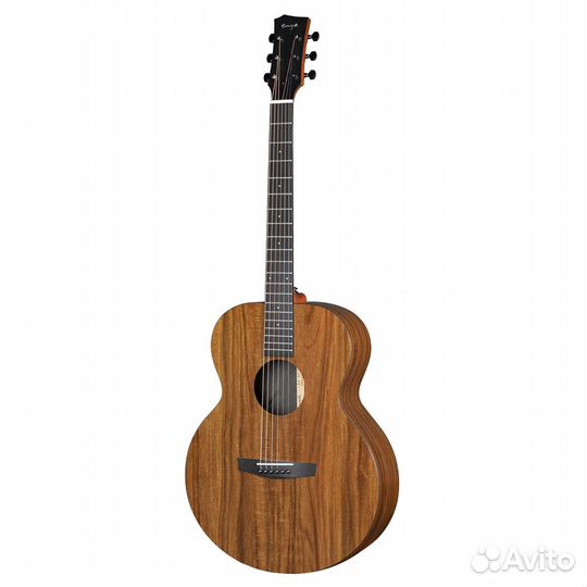 Электроакустическая гитара Enya EM-X1EQ+