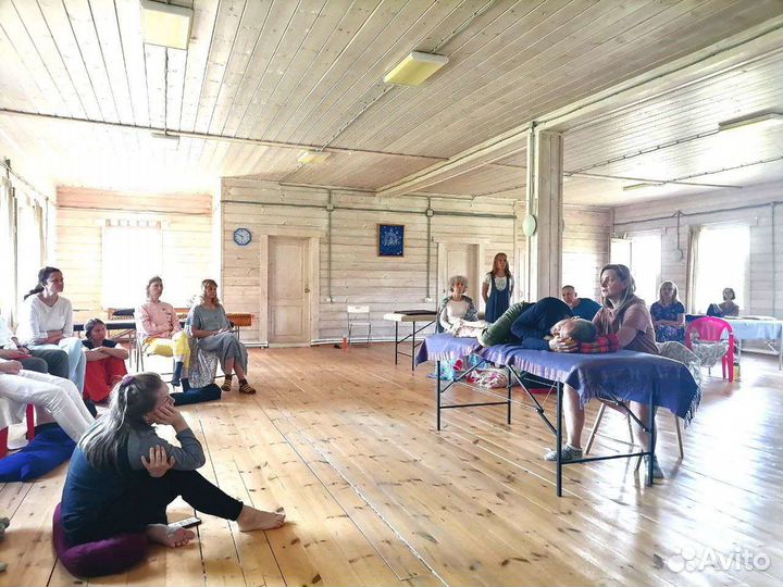 Биодинамика