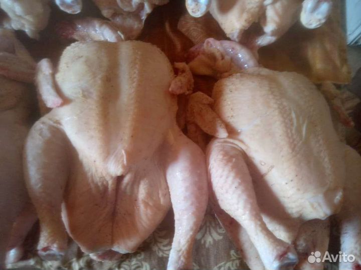 Домашнее мясо кур бройлера и индейки