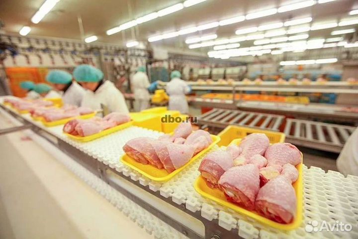 Упаковщики на птицефабрику в Невинномыск. Вахта