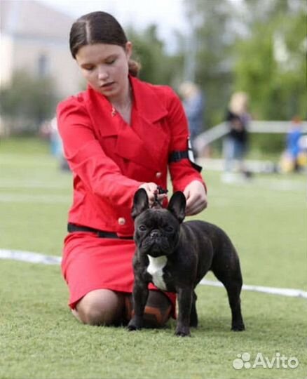 Услуги хендлера