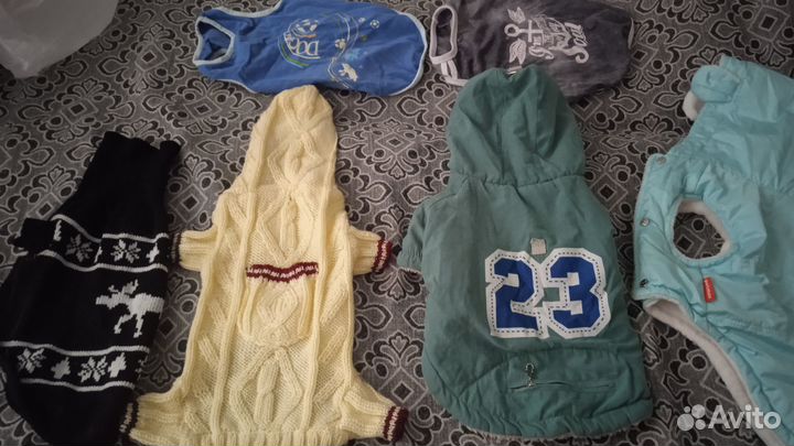 Одежда для собак мелких пород пакетом