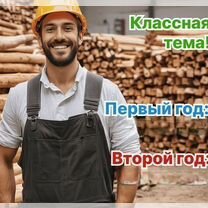 Агентство по деревообработке в городе, Вена