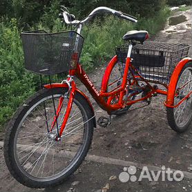 Велосипед трехколесный для взрослых с мотор-колесом RVZ-HZ-01