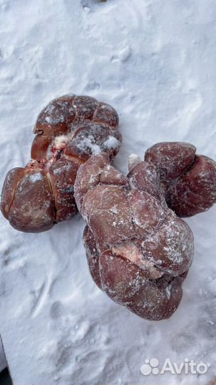 Рубец и вкусняшки для собак