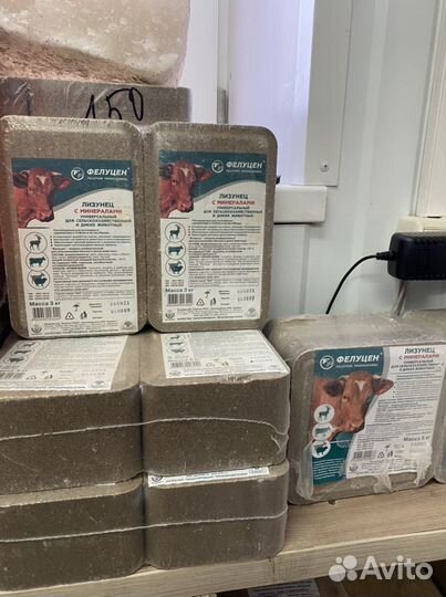 Соль лизунец