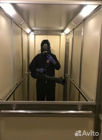 Уничтожение клопов. Дезинсекция тараканов