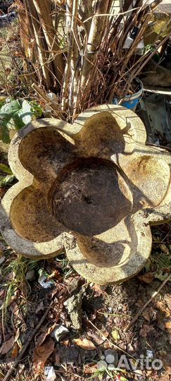 Для растений цветы