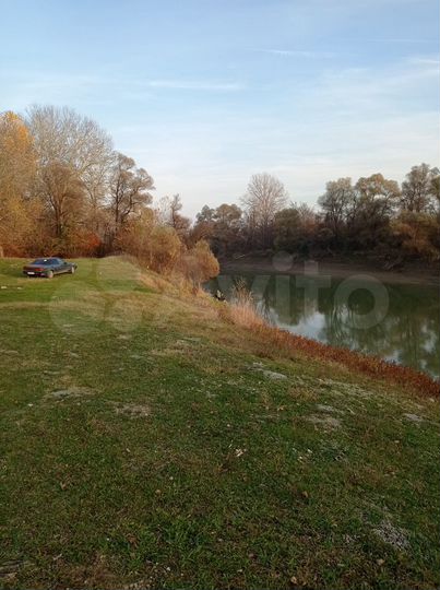 Участок 54 сот. (СНТ, ДНП)