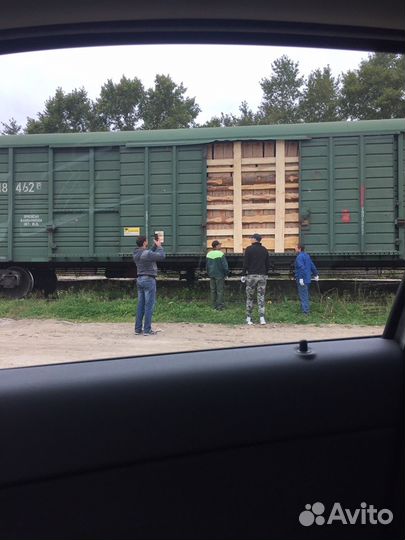 Грузчики, Разнорабочие, Подсобные рабочие