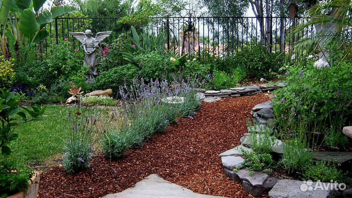 Кора сосны и лиственницы