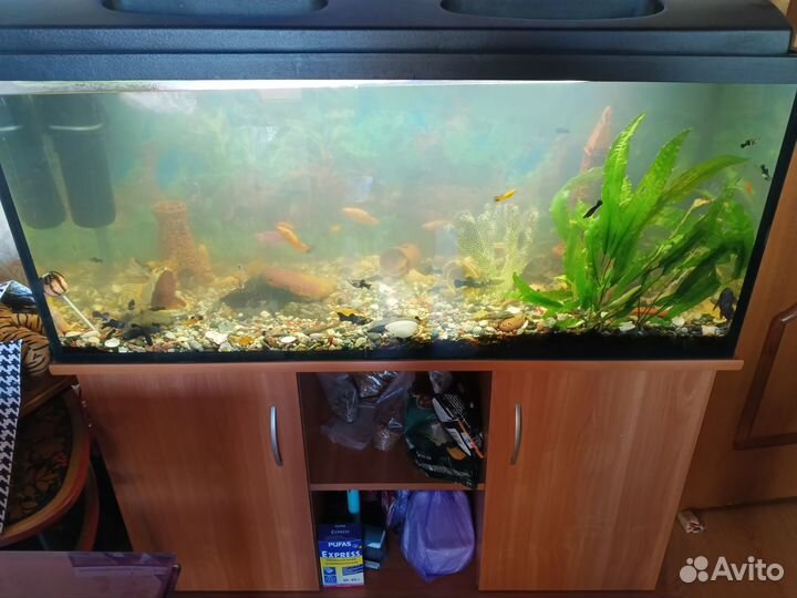 Аквариум с тумбой 240л