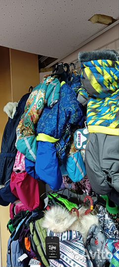 Одежда для собак