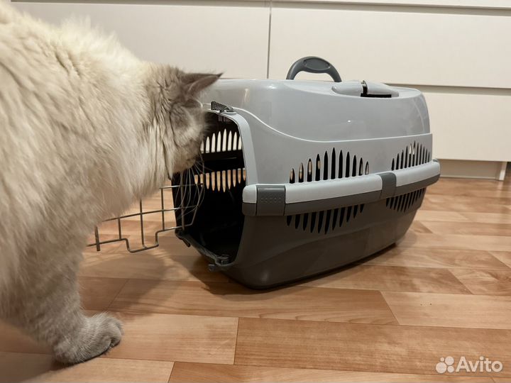 Переноска для кошек пластиковая