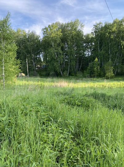 Участок 10 сот. (СНТ, ДНП)