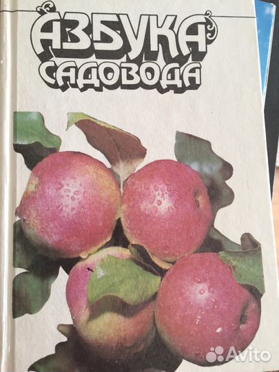 Сад и огород