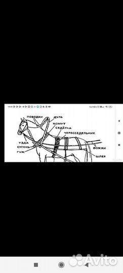 Сбруя для лошади