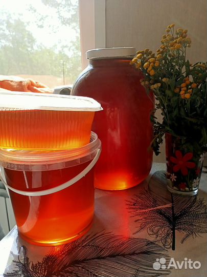 Алтайский мед