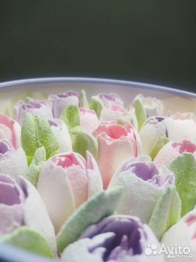 Цветы тюльпаны