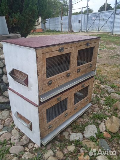 Брудер для цыплят