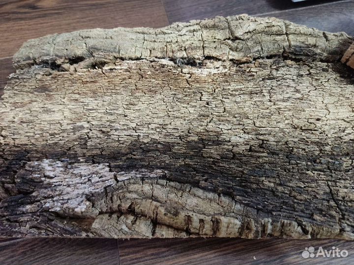 Кора пробкового дуба
