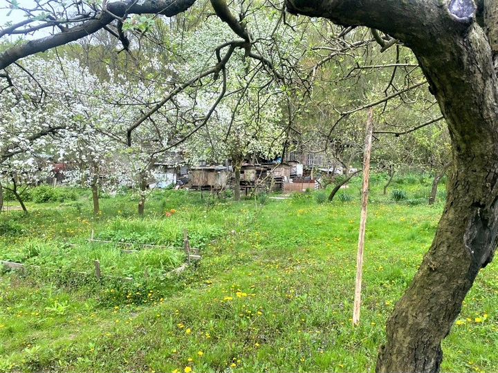 Участок 12 сот. (ИЖС)