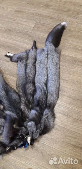 Шкурка чернобурой лисы