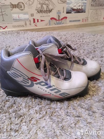 Лыжные ботинки