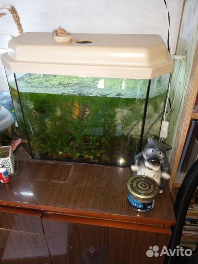 Аквариум