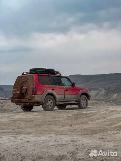 Аренда авто