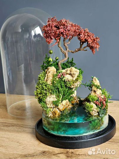 Моссариум, флорариум