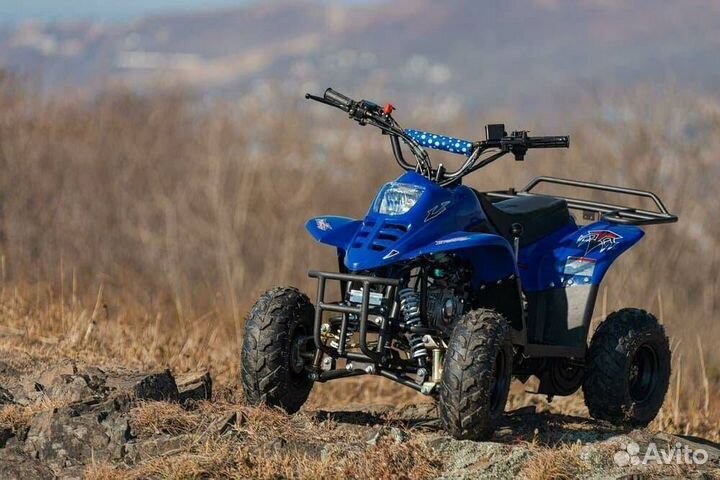 Снегоход-квадроцикл Tiger Universal 150 синий