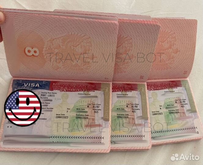 Оформление Визы США, Шенген, Бот На Визу США