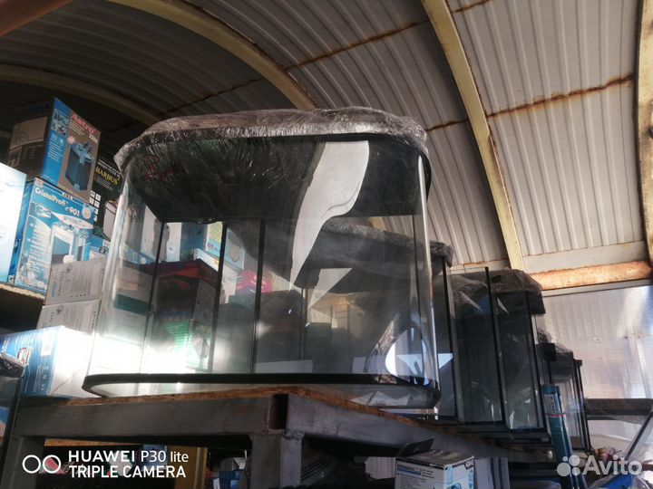 Аквариумы на сенном