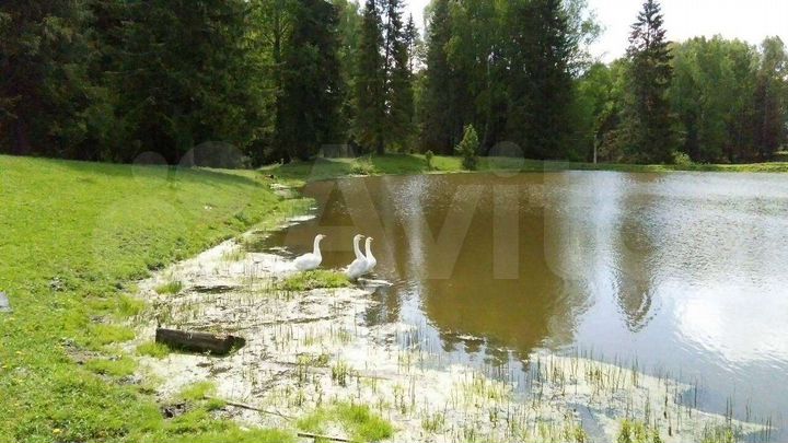 Дом 32,7 м² на участке 21 сот.