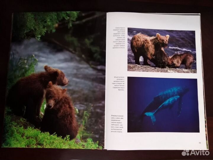 Книги (большого размера)