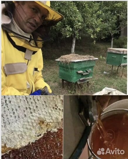 Мед Майский Горный