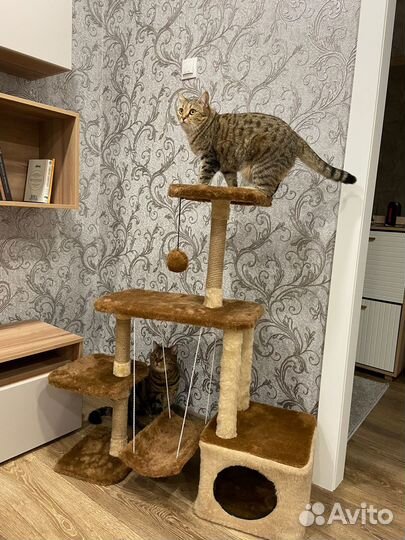 Домик для кошки с когтеточкой