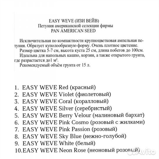 Рассада ампельной петунии