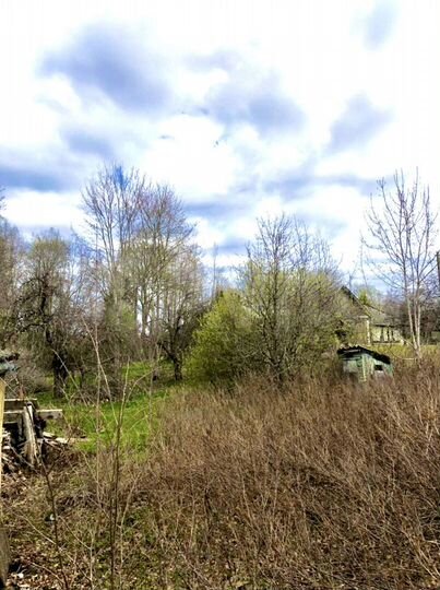 Дом 35,6 м² на участке 29 сот.