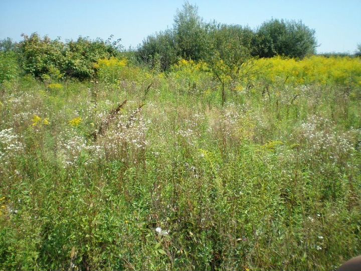 Участок 15 сот. (ИЖС)